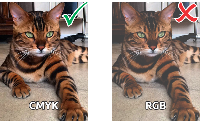 Foto comparativa RGN y CMYK